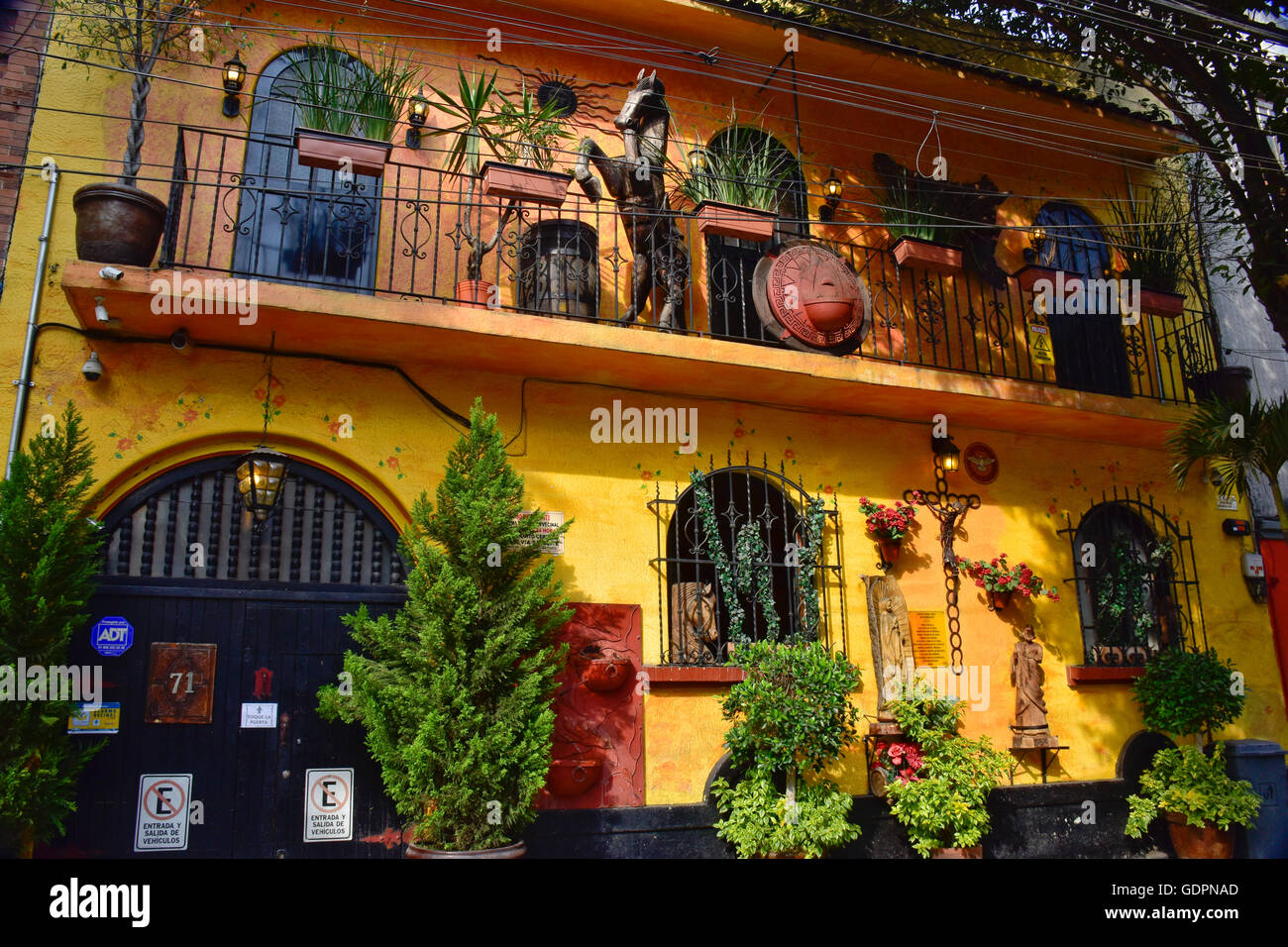 Bâtiment dans le quartier Colonia Roma de Mexico. En stuc peint en jaune. Banque D'Images