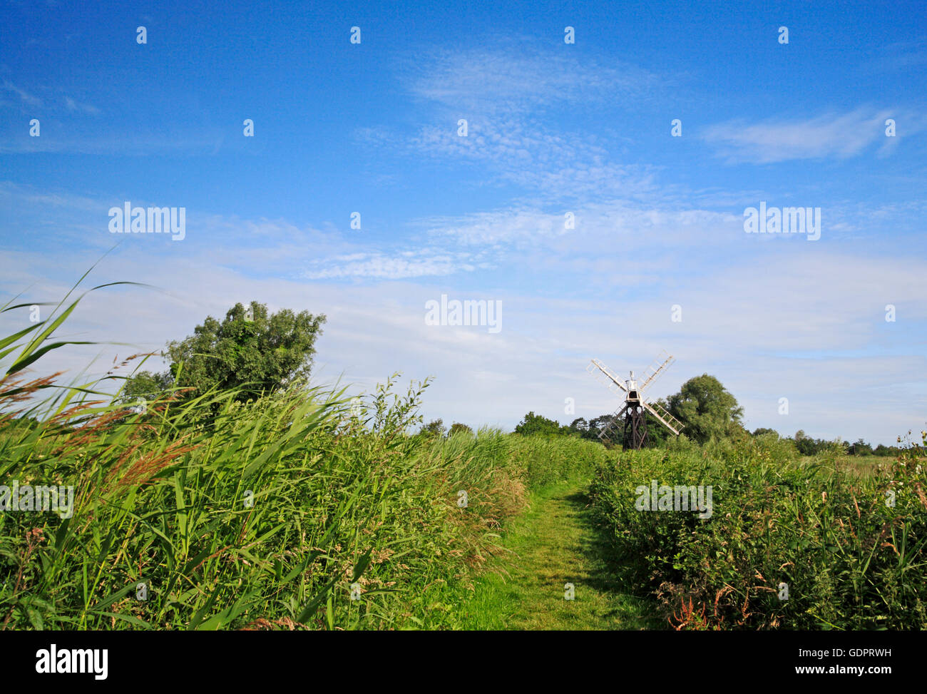 Un chemin par la rivière Ant sur les Norfolk Broads à Boardman de skeleton mill à drainage Comment Hill, Ludham, Norfolk, Angleterre, Royaume-Uni. Banque D'Images