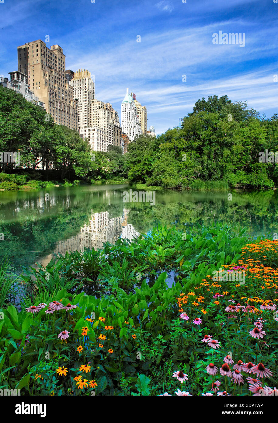Central Park South à Manhattan, New York City Banque D'Images