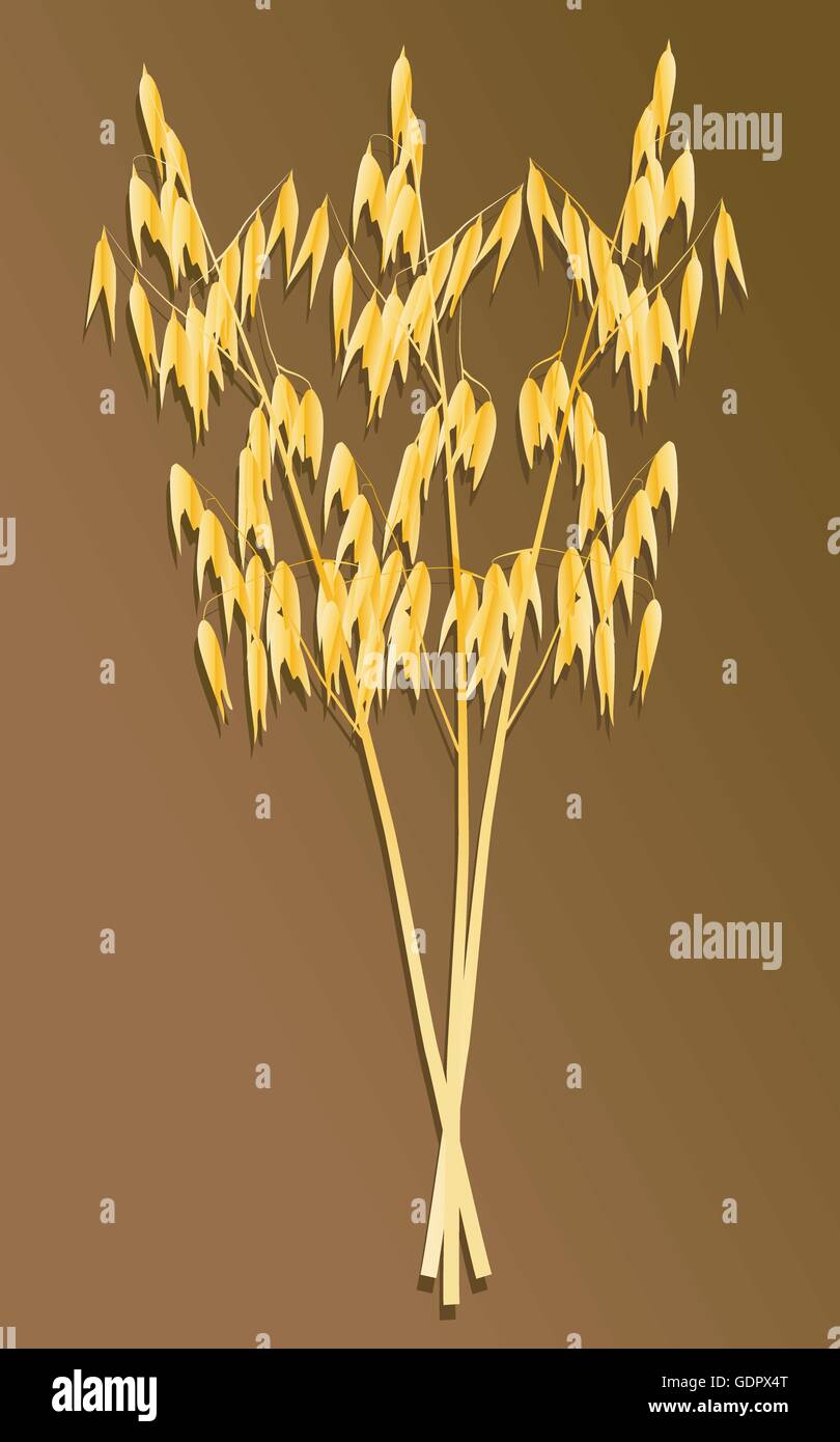 Combiner la récolte dans les champs de céréales background vector illustration Illustration de Vecteur