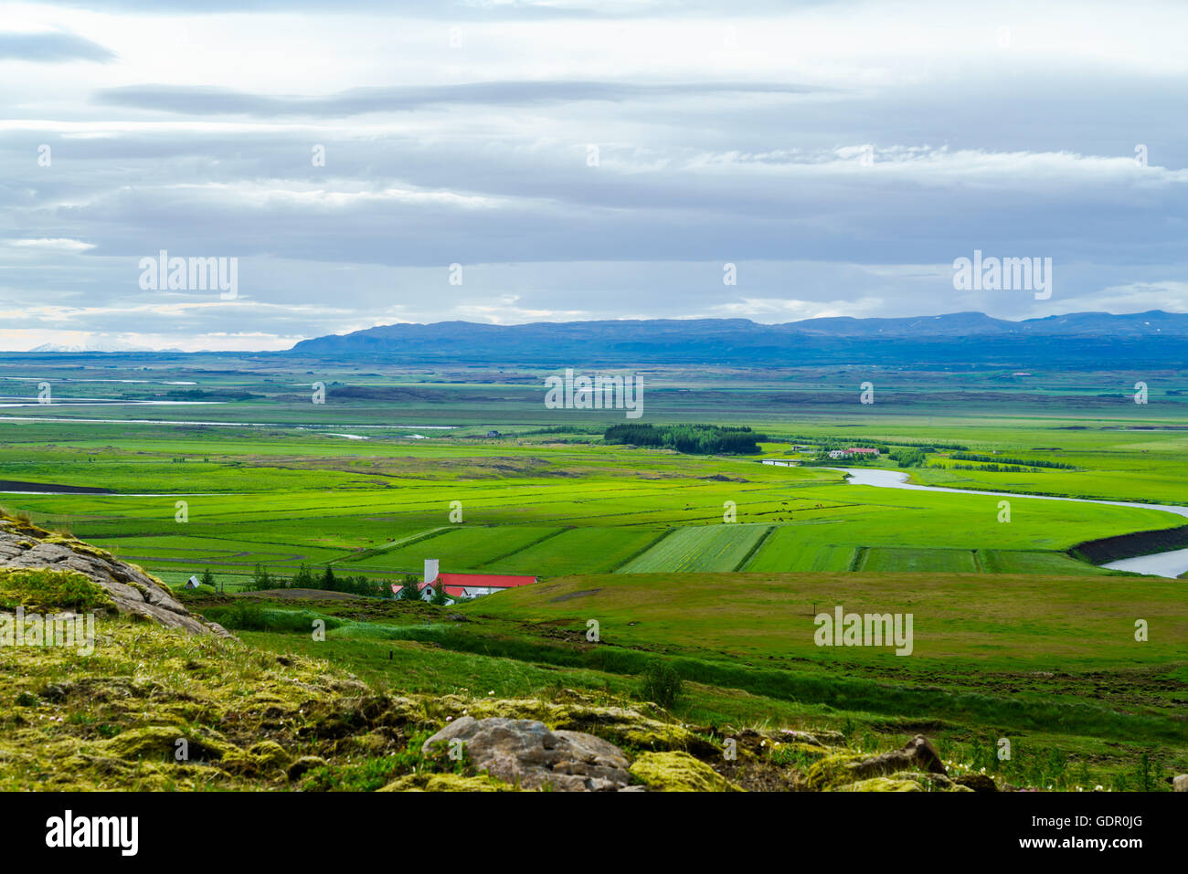 Petit village avec les chevaux paissant dans le champ vert au paysage de l'Islande Banque D'Images