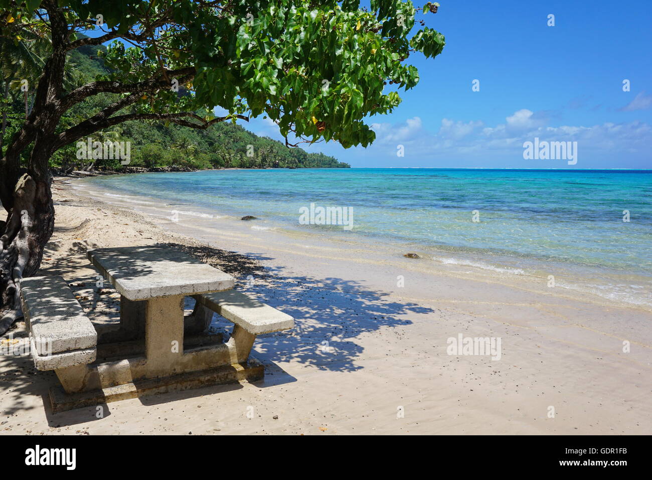 Côte plage tropicale avec une table de pique-nique sur le sable, l'île de Huahine, l'océan Pacifique, Polynésie Française Banque D'Images