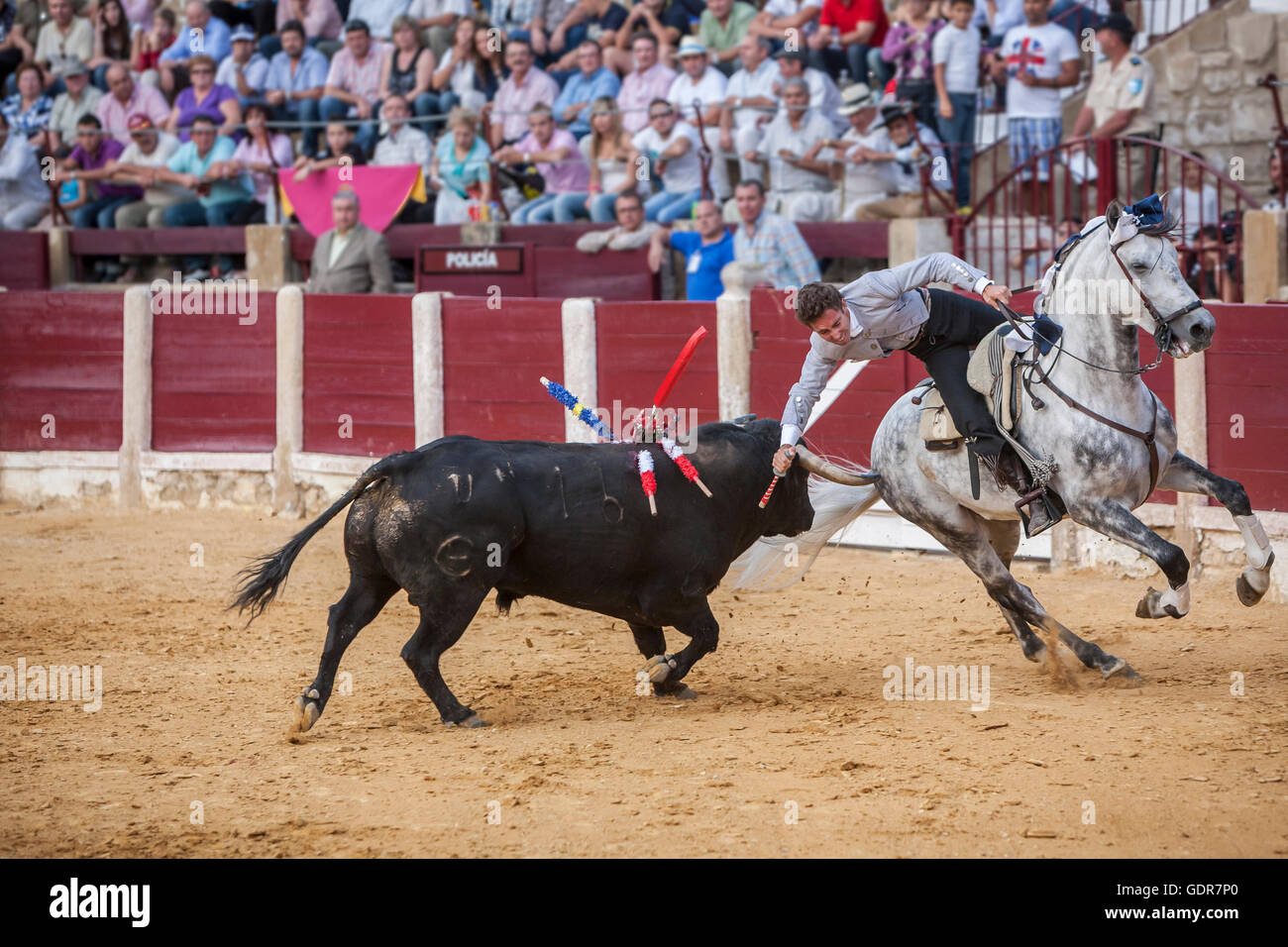 Torero espagnol sur l'Leonardo Hernandez mettant le taureau banderilles dans l'arène Banque D'Images