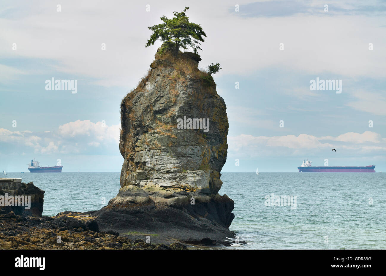 Vue du parc Stanley à Vancouver. La Colombie-Britannique. Canada Banque D'Images