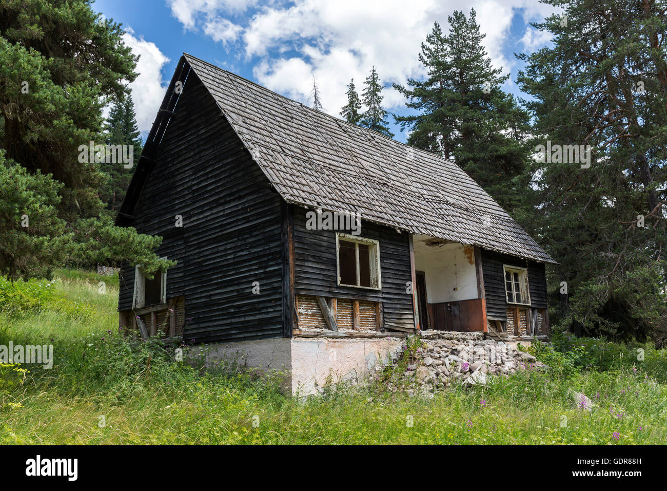 Ancienne cabane en bois dans les bois. Banque D'Images