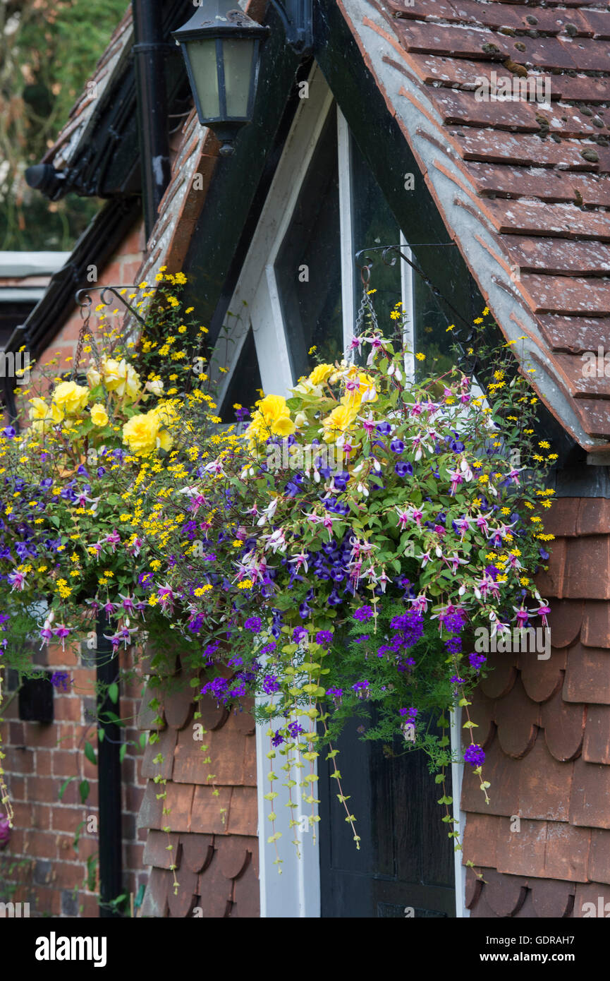 Corbeilles à suspendre des fleurs sur un chalet. Hambleden, Buckinghamshire, Angleterre Banque D'Images Corbeilles à suspendre des fleurs sur un chalet. Hambleden, Buckinghamshire, Angleterre Banque D'Images