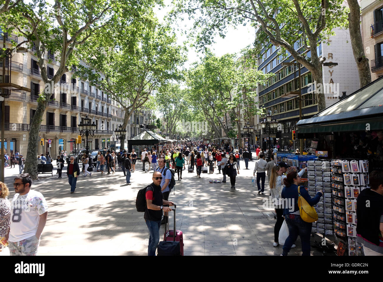 La Rambla est un mail qui s'étend de la mer à Port de Barcelone, la Plaça de Catalunya. Banque D'Images