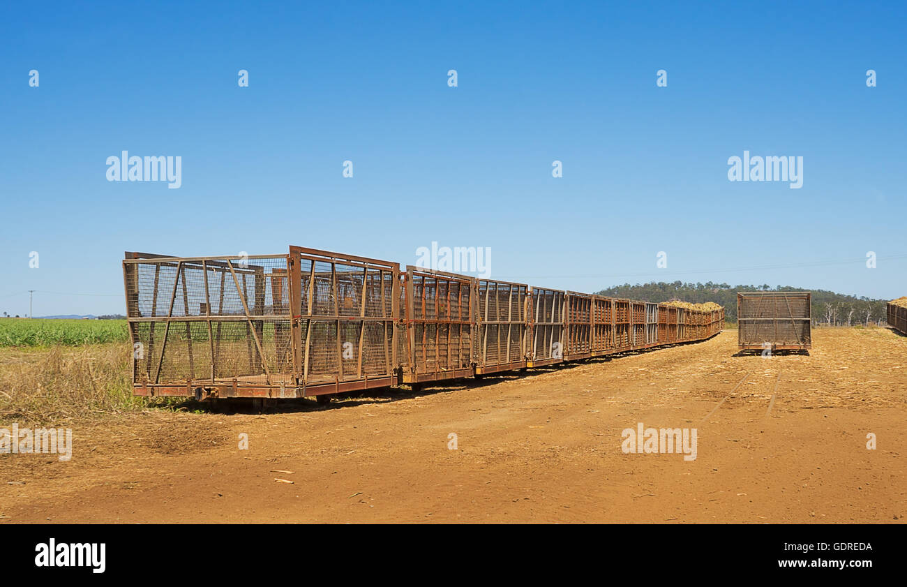 Scène rurale australienne campagne avec des wagons de train, canne sur une plantation de canne à sucre Banque D'Images