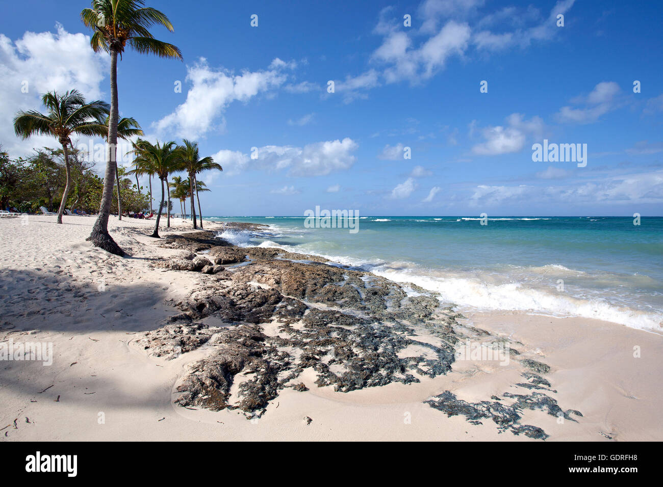 Cristal bleu de la mer et de palmiers sur la plage Playa Guardalavaca, Holguin, Cuba Province Banque D'Images