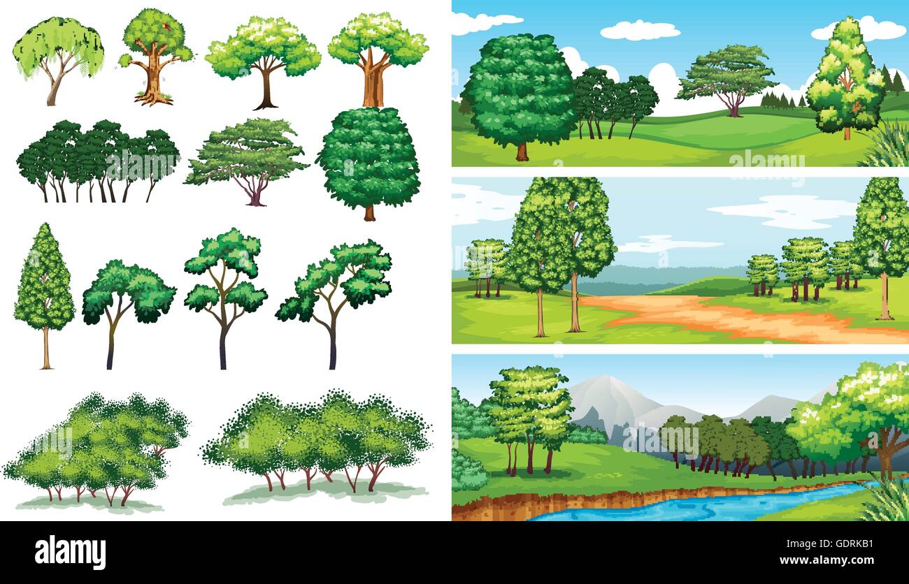 Scènes de la nature avec des arbres et champs illustration Illustration de Vecteur