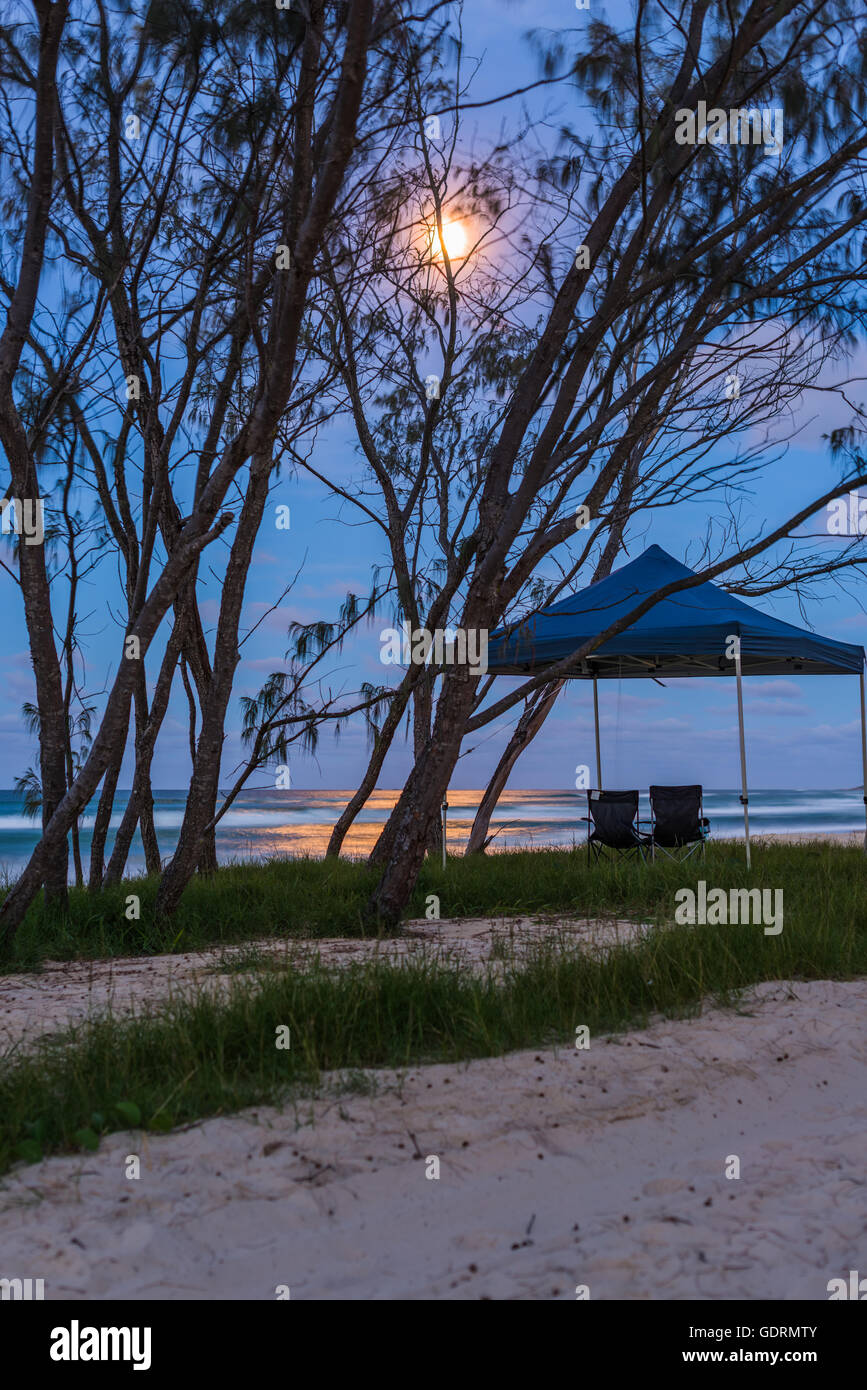 Sous la lumière de la lune, deux chaises assis côte à côte sur la plage à North Stradbroke Island Banque D'Images