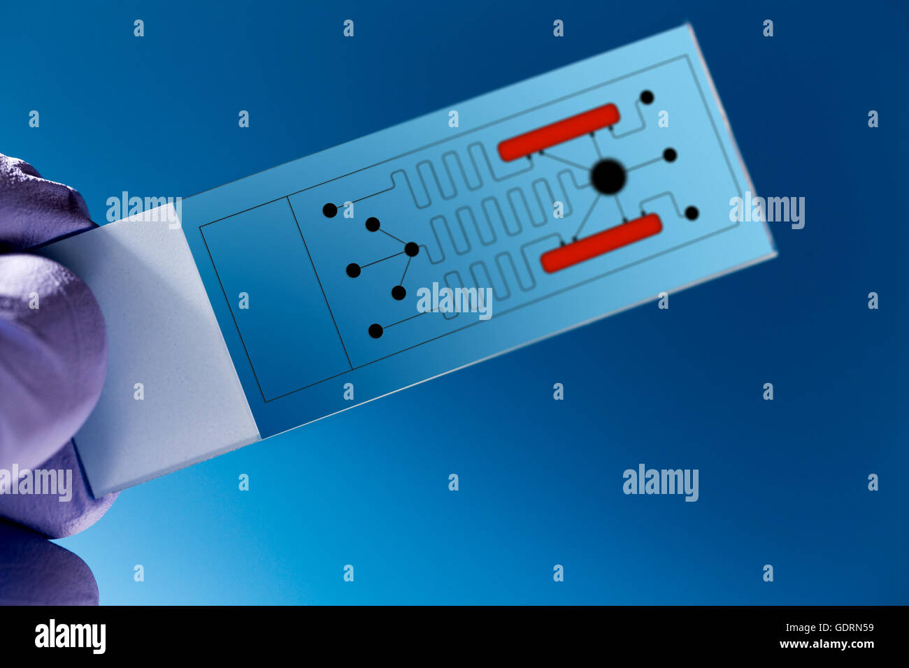 D'identification des protéines biopuces, lab on chip - systèmes tous les processus pour l'analyse d'un échantillon sont intégrés dans une plaque de verre Banque D'Images