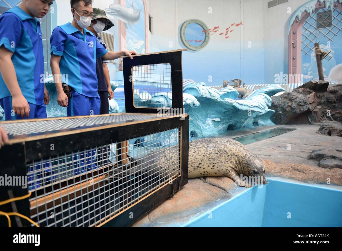 Harbin, Chine, province de Heilongjiang. 21 juillet, 2016. Les membres du personnel tentent d'attirer les joints sur une zone interactive au Harbin Polarland à Harbin, capitale de la province du nord-est de la Chine, le 21 juillet 2016. Six joints nouvellement arrivés ont fait leurs débuts dans la région de Harbin, jeudi. Credit : Wang Kai/Xinhua/Alamy Live News Banque D'Images