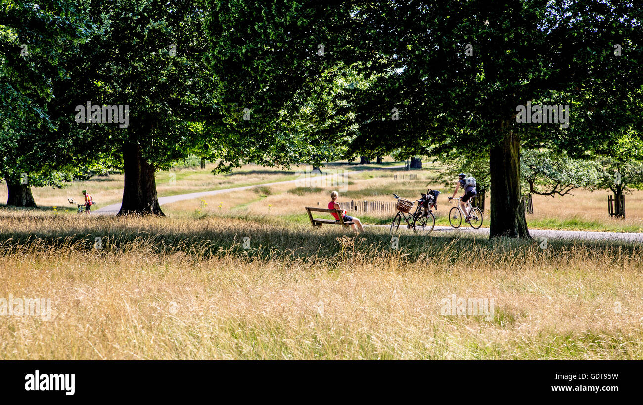 Les gens à vélo dans Richmond Park, London UK Banque D'Images