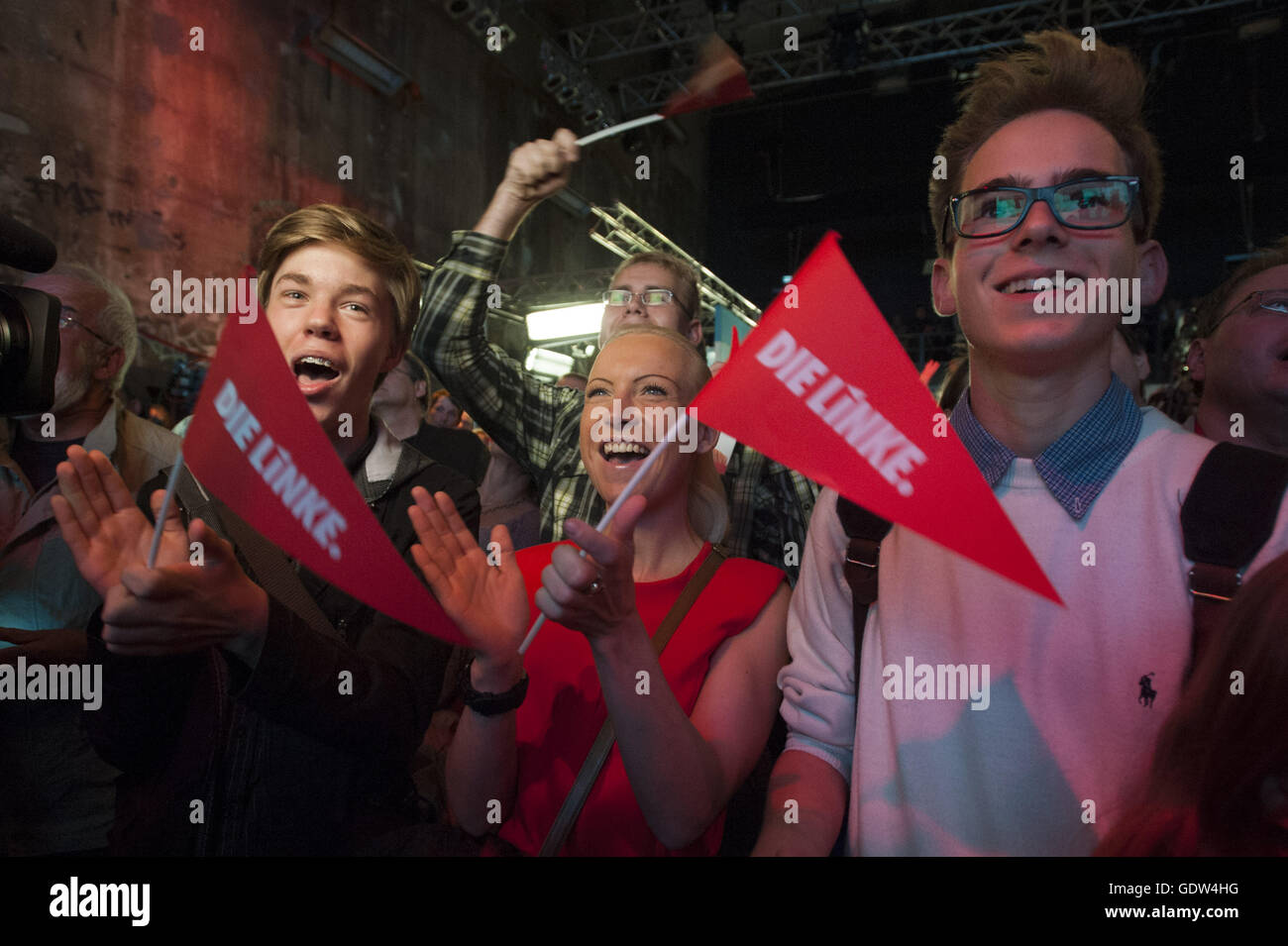 L'élection au Bundestag 2013 Élection du parti, Die Linke Banque D'Images