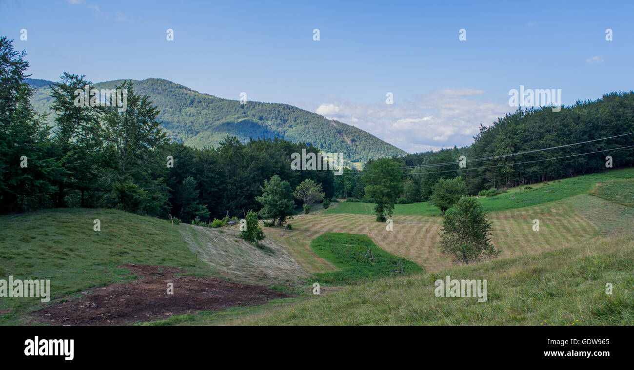 Beau domaine en vert Banque D'Images