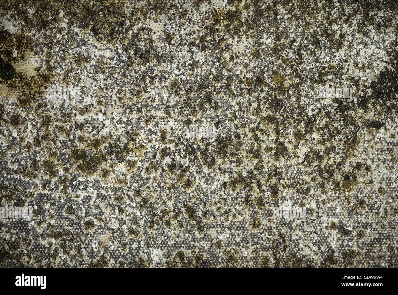 Fermer détail d'une dalle en béton grungy. Banque D'Images
