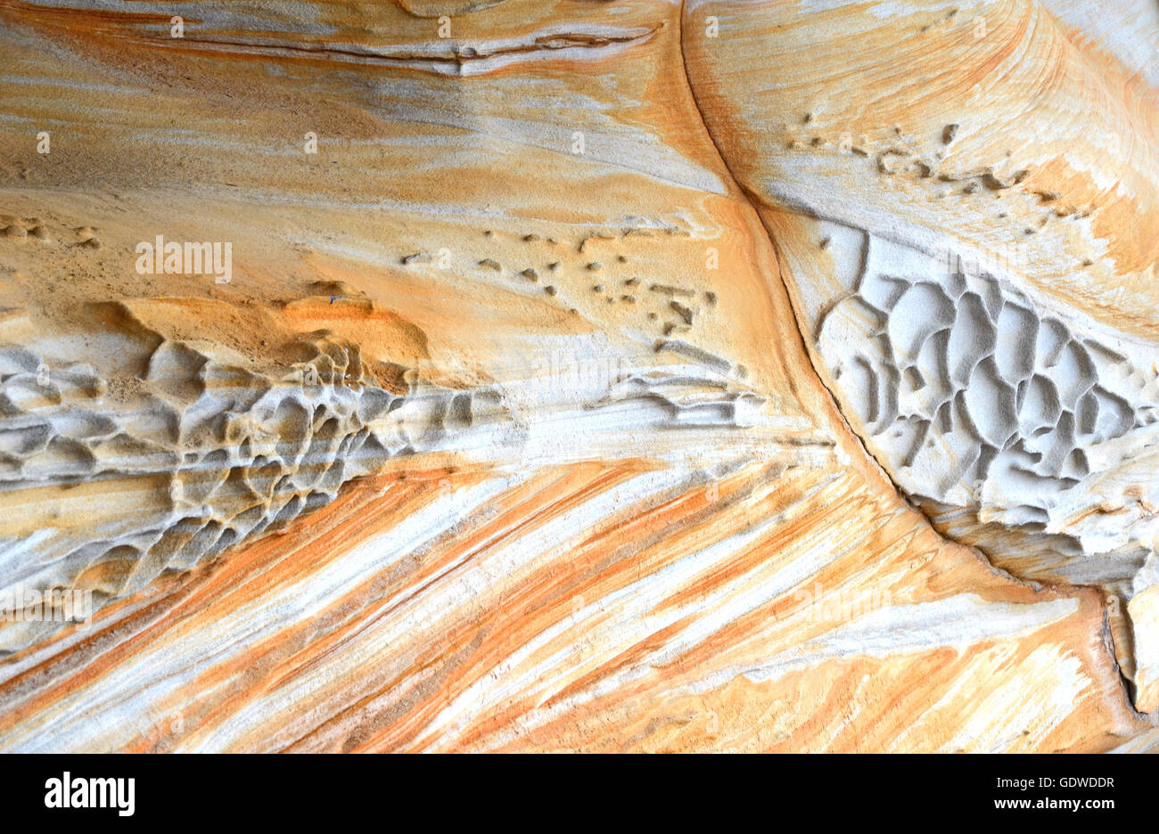 Des formes et des motifs de Sydney altérés (Hawkesbury) sur le grès de la côte de la Nouvelle-Galles du Sud Banque D'Images