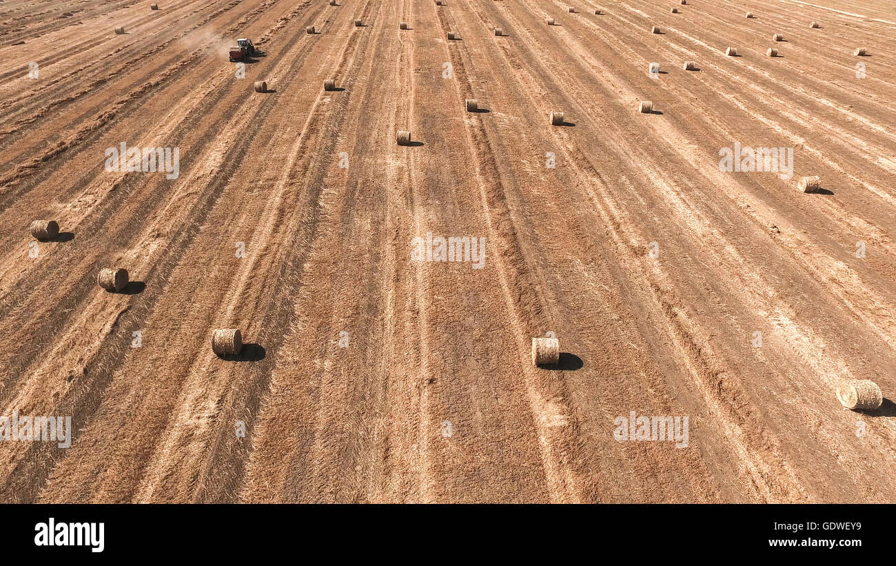 Des images aériennes d'une ramasseuse-presse paille tracteur travaillant dans un champ agricole. Banque D'Images