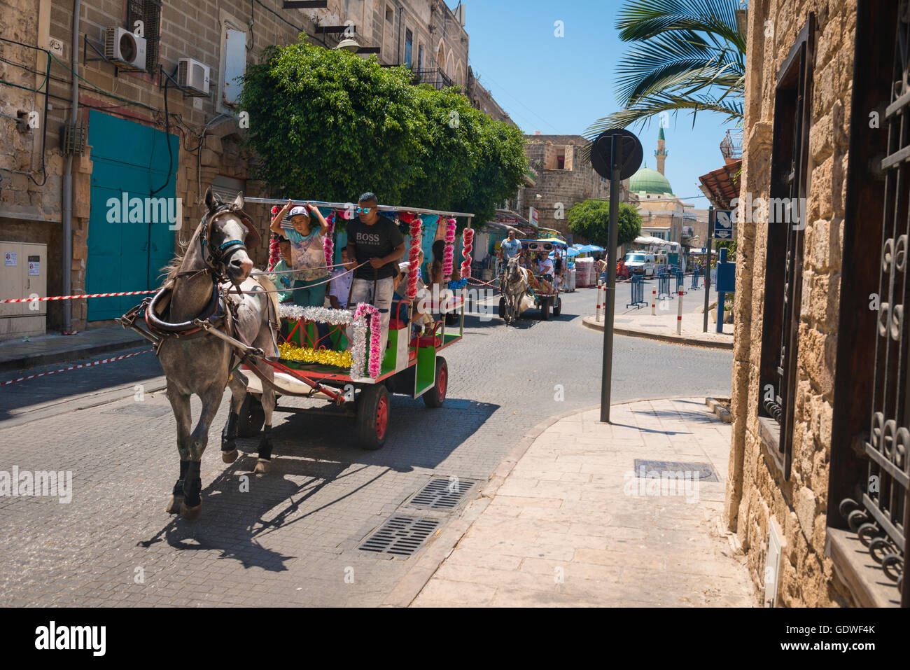 Israël akko acre vieille ville ville panier cheval transport bus Banque D'Images