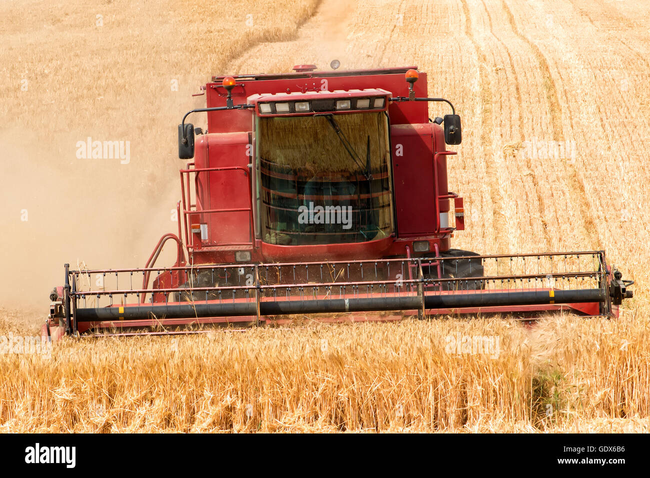 Fermer vue avant de moissonneuse batteuse en action Banque D'Images
