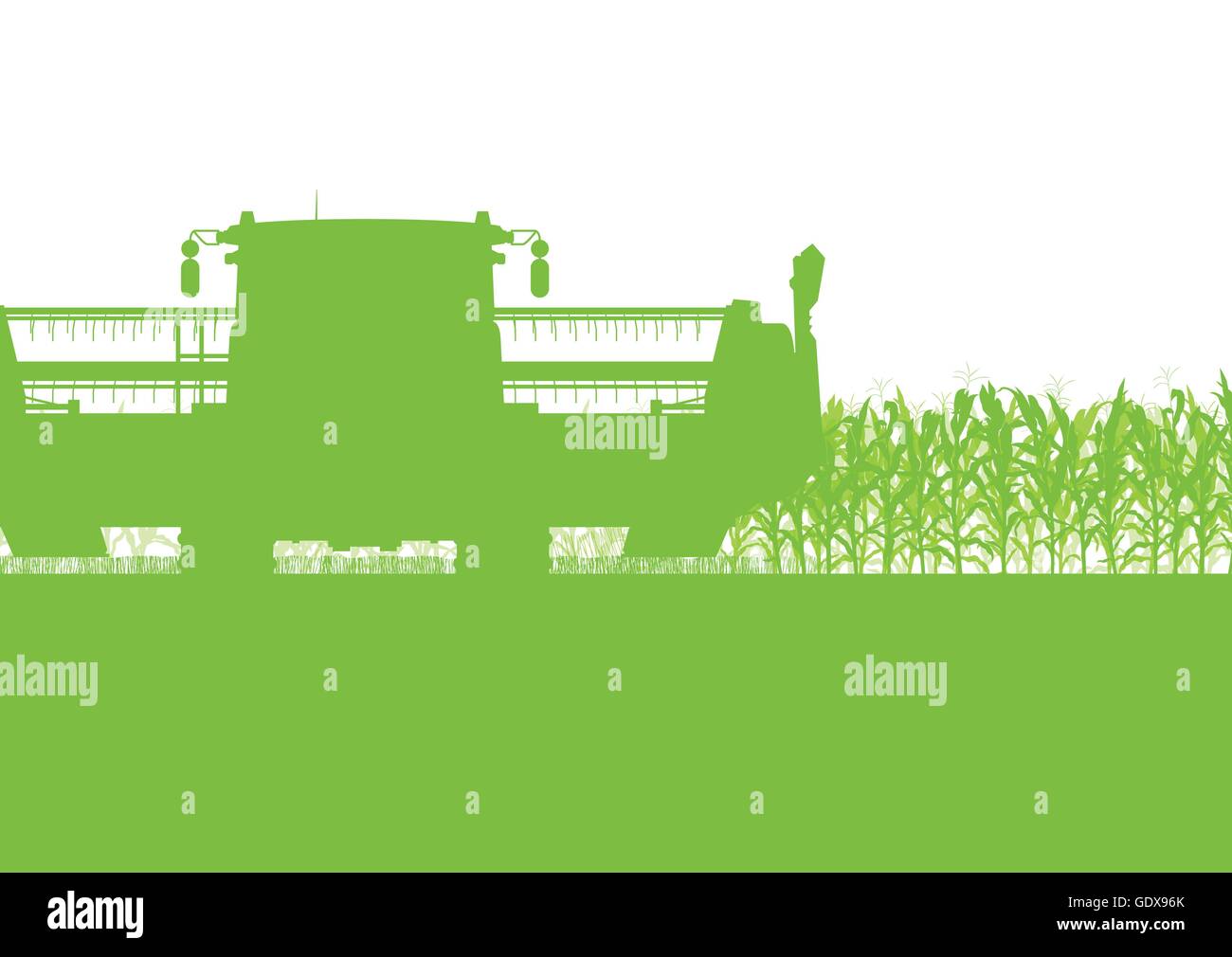 Champ de maïs de la récolte avec une moissonneuse-batteuse écologie vert alimentation biologique résumé automne rural Illustration de Vecteur
