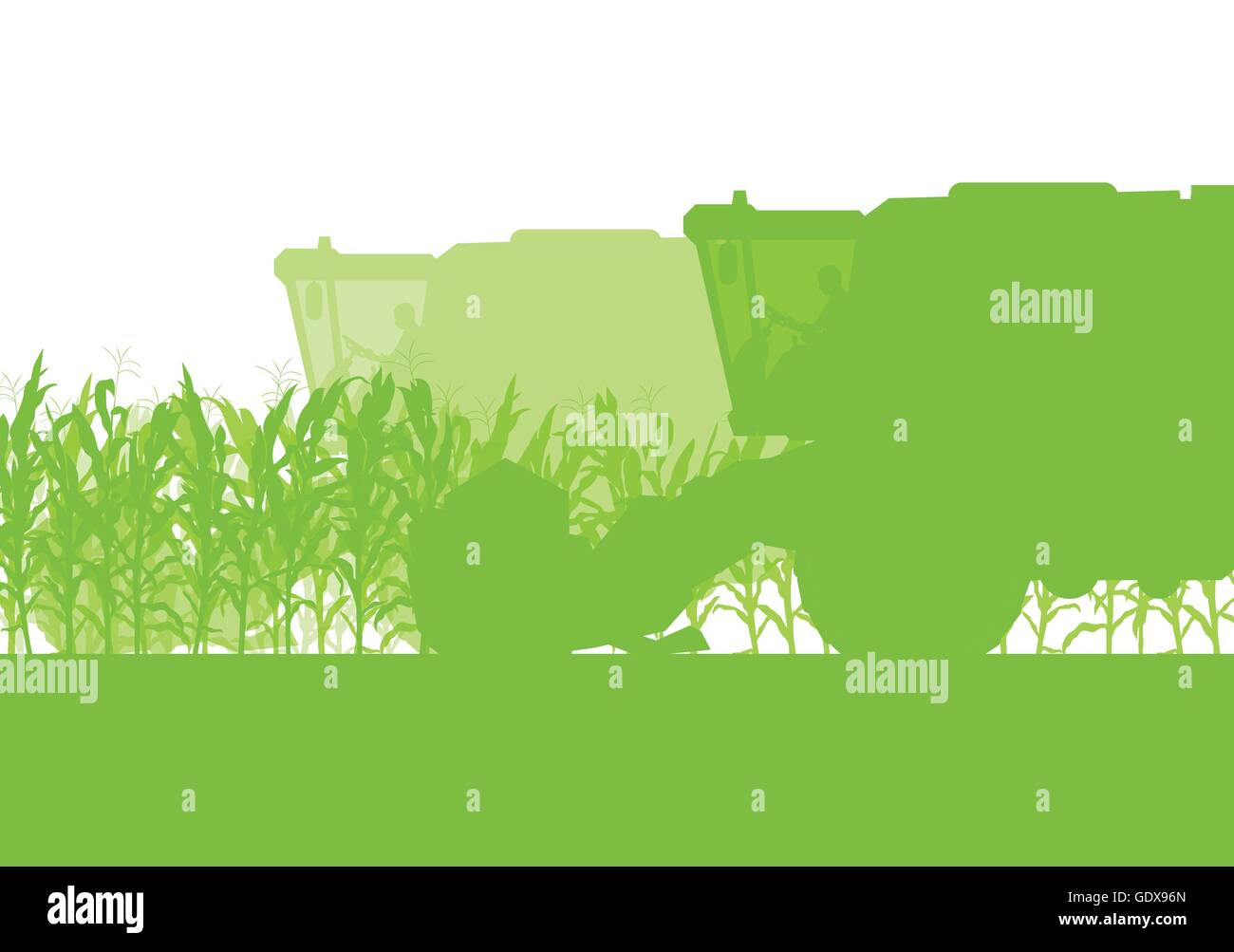 Champ de maïs de la récolte avec une moissonneuse-batteuse écologie vert alimentation biologique résumé automne rural Illustration de Vecteur