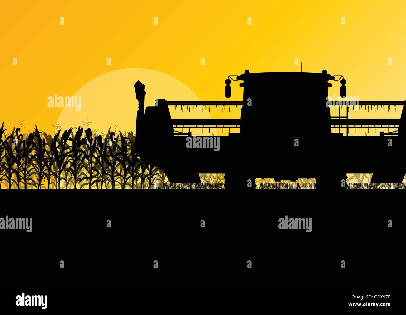 Champ de maïs de la récolte avec une moissonneuse-batteuse abstrait Jaune automne fond vecteur rural Illustration de Vecteur