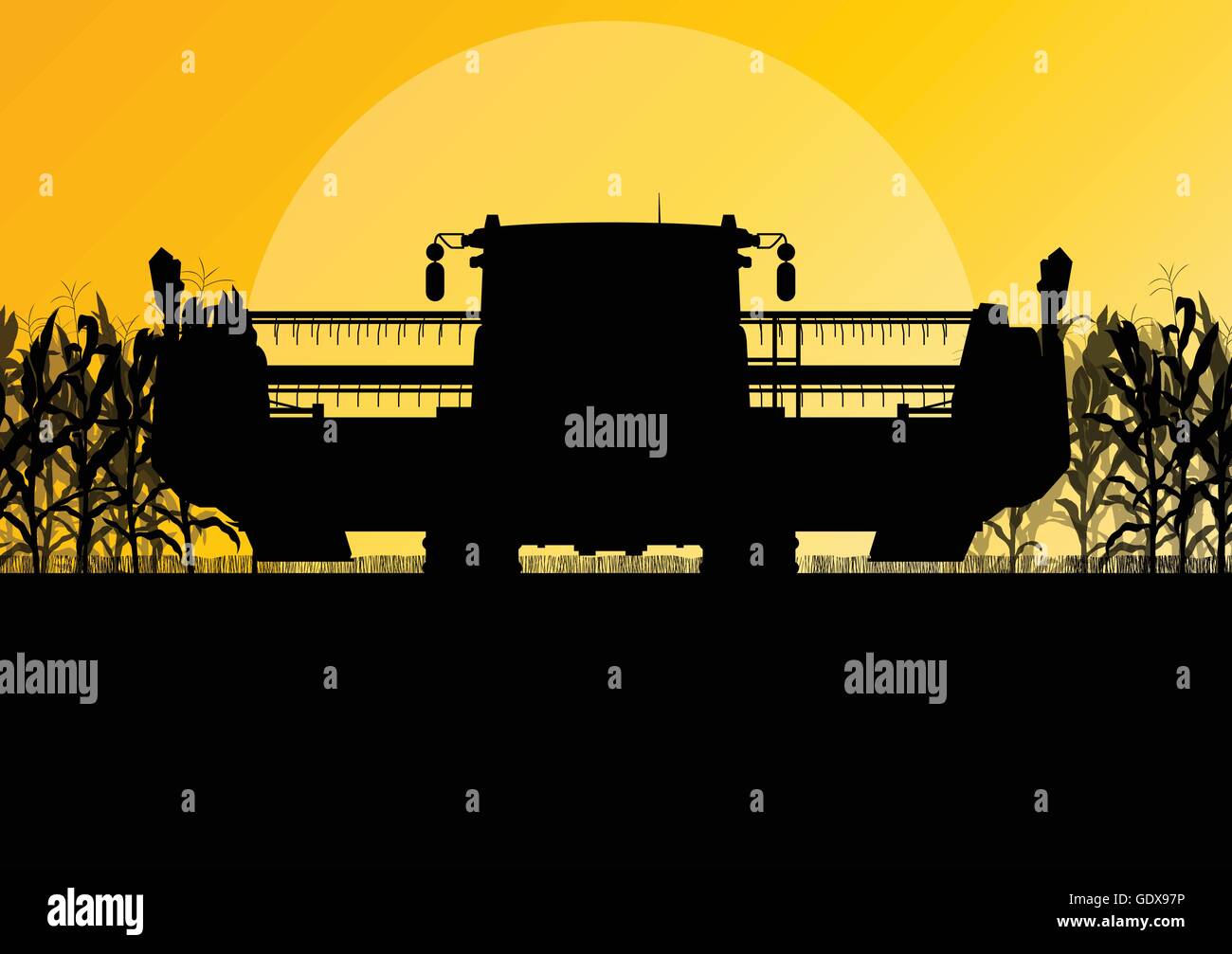 Champ de maïs de la récolte avec une moissonneuse-batteuse abstrait Jaune automne fond vecteur rural Illustration de Vecteur