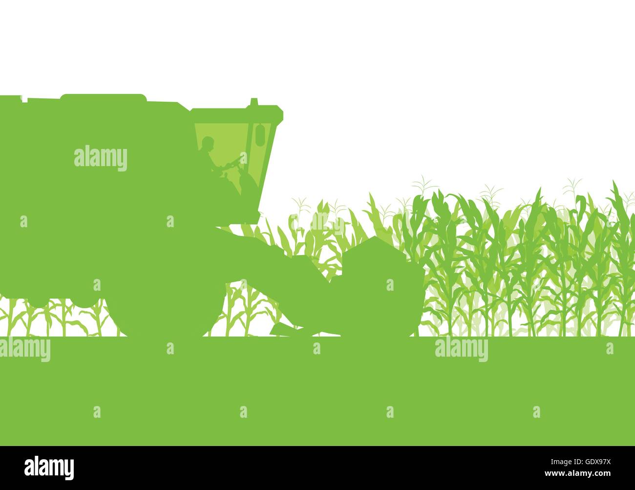 Champ de maïs de la récolte avec une moissonneuse-batteuse écologie vert alimentation biologique résumé automne rural Illustration de Vecteur