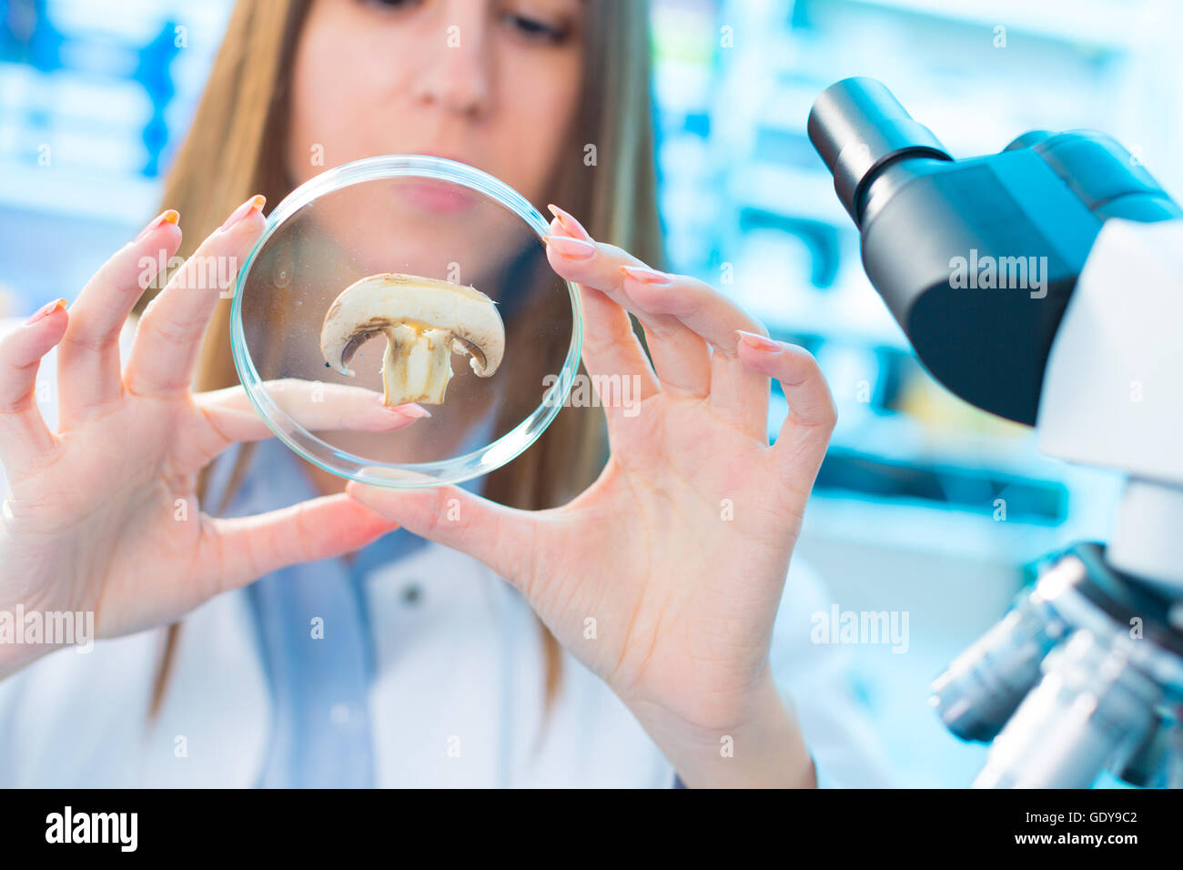 Contrôle des champignons alimentaires sur le contenu d'herbicides et de pesticides Banque D'Images