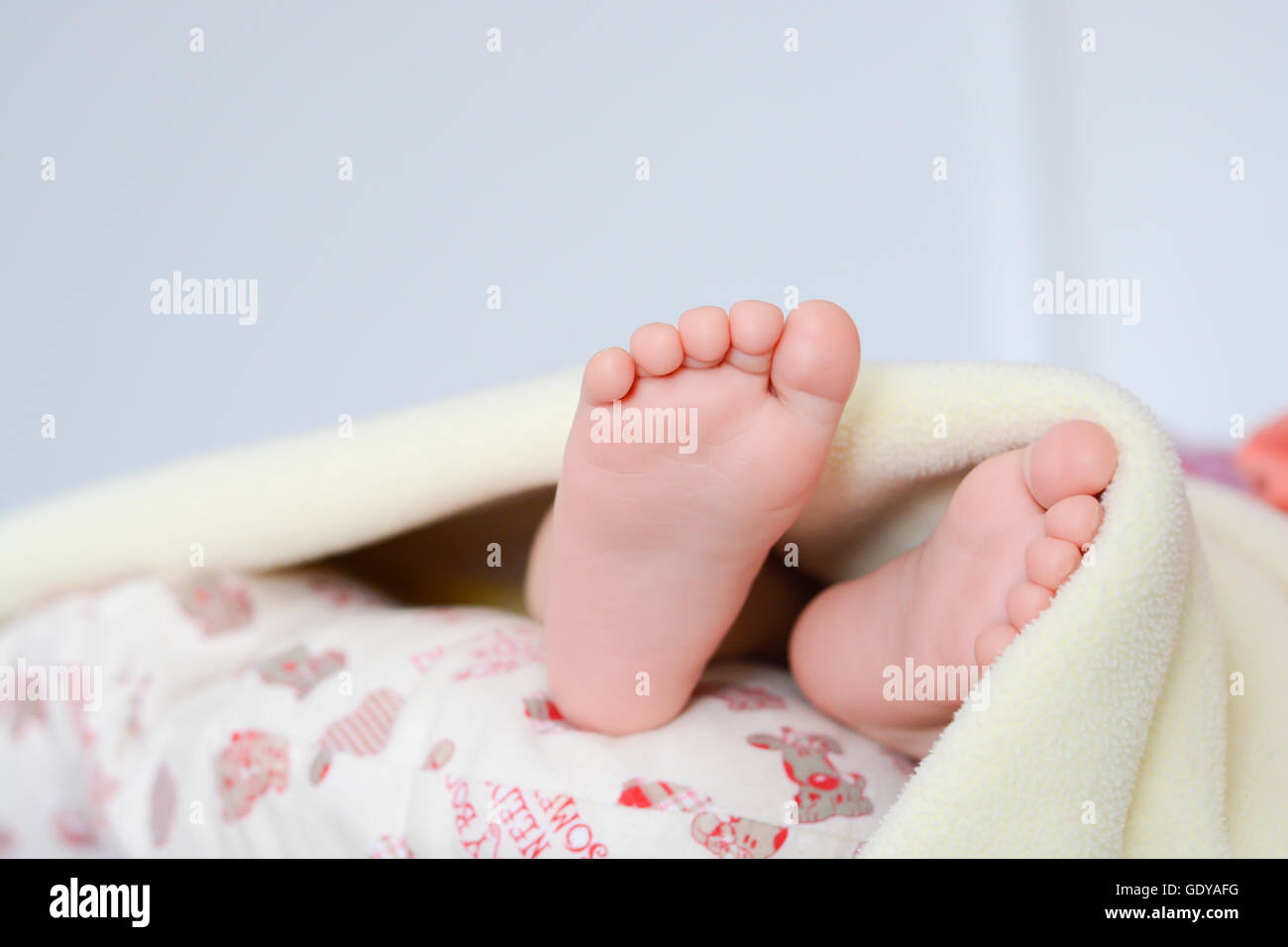 Newborn baby feet under blanket Banque D'Images