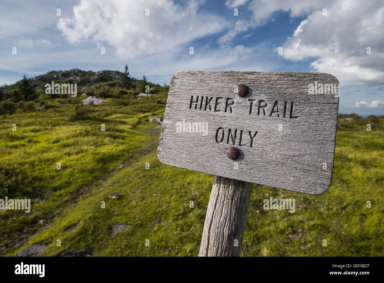 Sentier de randonnée en bois seul signe sur le sentier des Appalaches en Virginie. Banque D'Images
