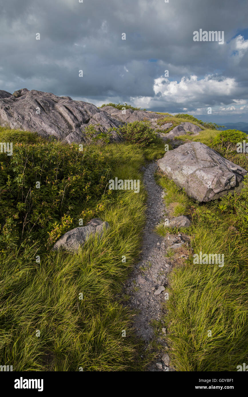 Vue sur montagnes des Appalaches le long de l'Appalachian Trail à Grayson Highlands, en Virginie. Banque D'Images