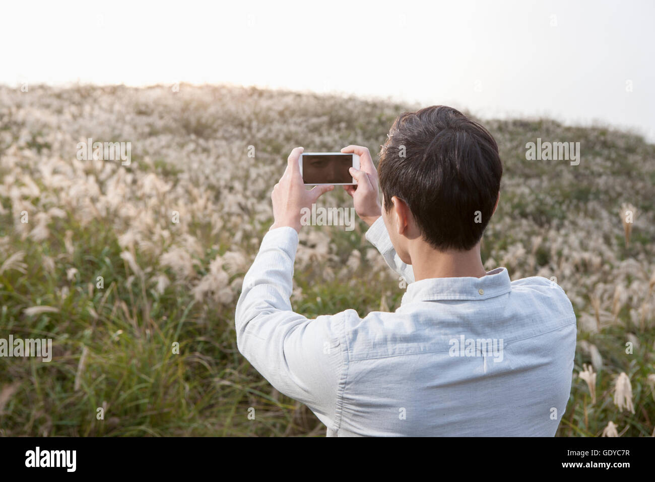 Retour portrait de jeune homme tenant un smartphone et en tenant un champ d'herbe d'argent contre selfies Banque D'Images