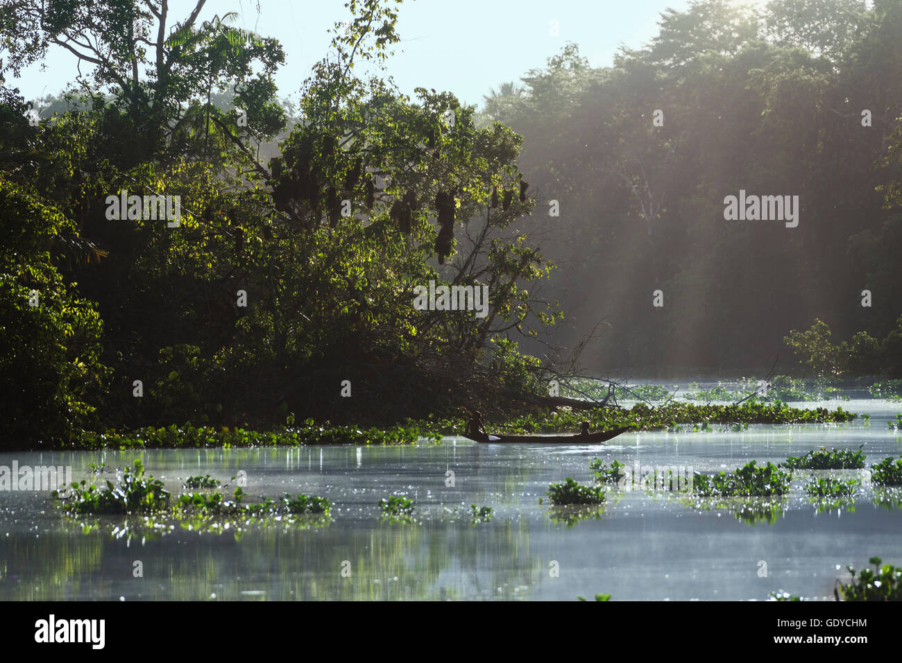 La lumière du soleil tombant sur rivière, fleuve d'Orinoco, Orinoco Delta, Venezuela Banque D'Images