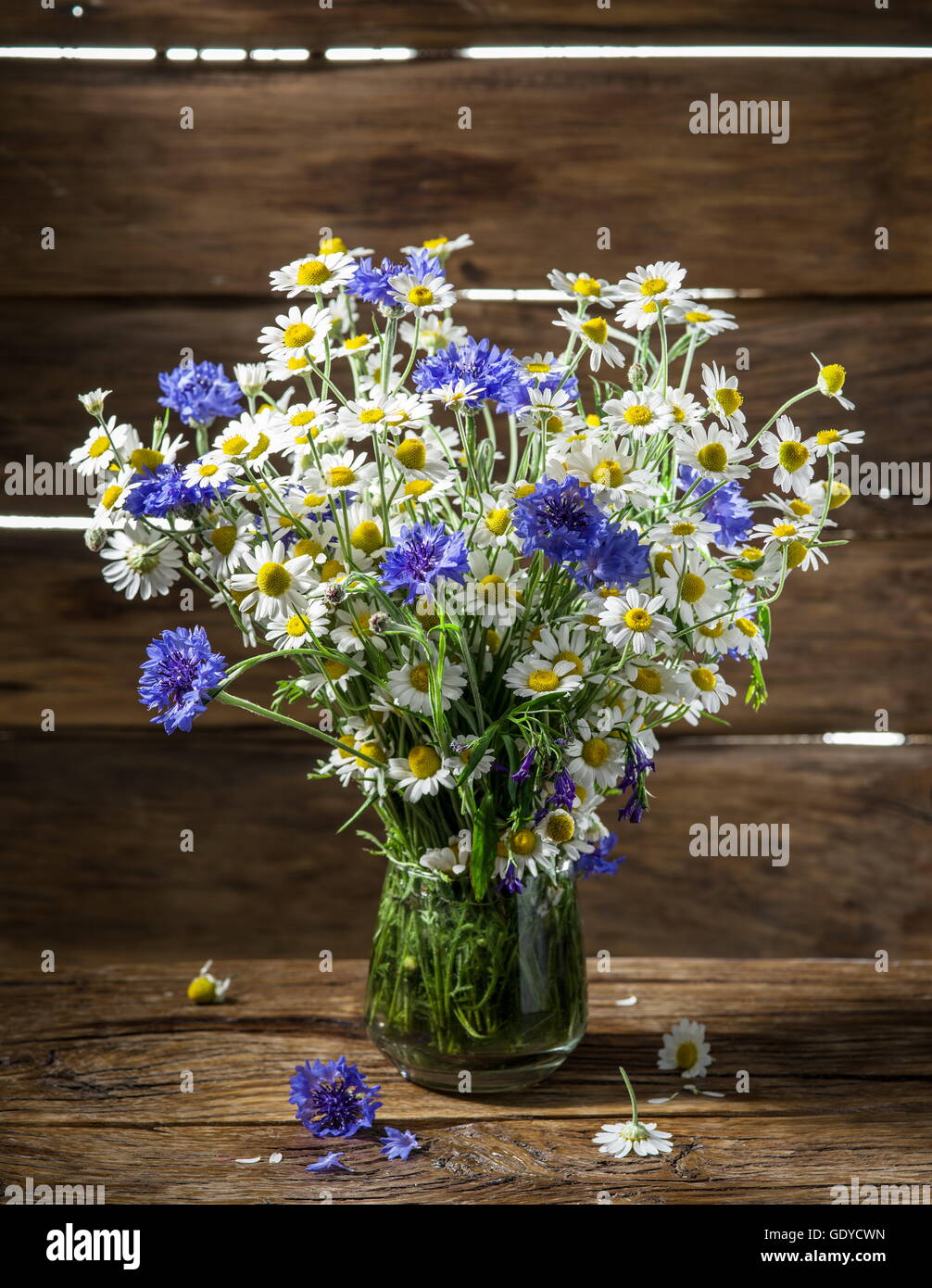 Bouquet de camomille et barbeaux dans le vase sur la table en bois. Banque D'Images