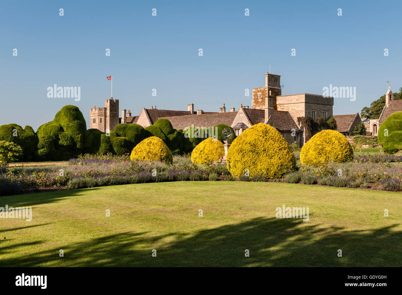 Le château de Rockingham, Corby, Northamptonshire, Angleterre. La procédure formelle 17c 'jardin' avec l'if de 400 ans 'Elephant' Derrière de couverture Banque D'Images