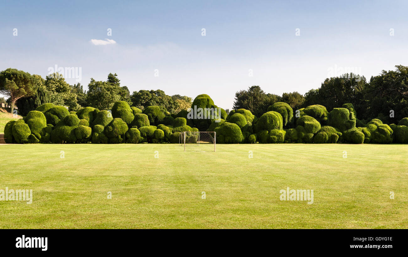Le château de Rockingham, Corby, Northamptonshire, Angleterre. Les 400 ans de l'éléphant "Hedge', une double rangée de yew clippé Banque D'Images