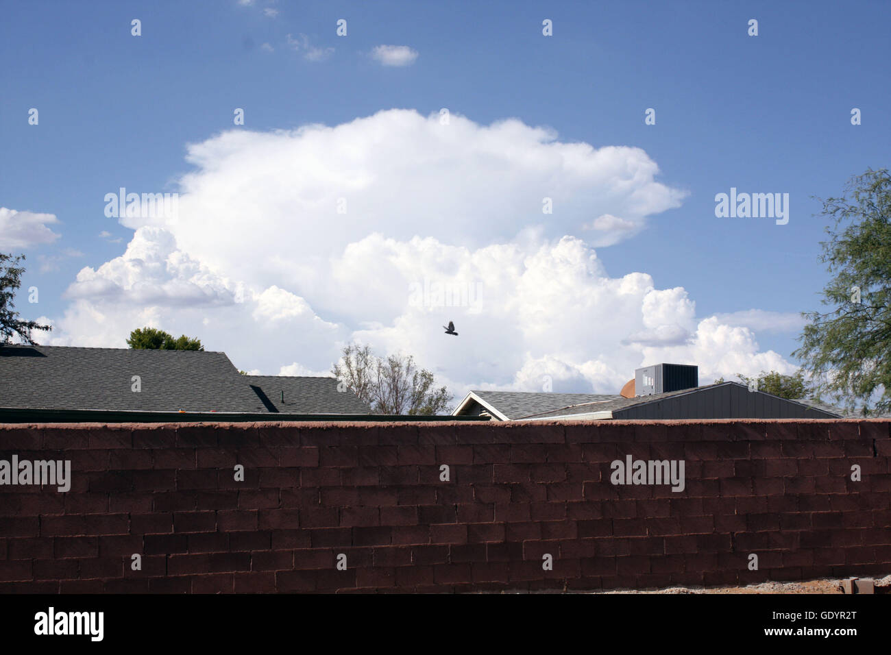 Cinq coups de mon voisin : toits ; arbres ; climatisation et refroidisseur marais unités ; puffy white clouds in a blue sky ; lampe de rue ; un pigeon de passage Banque D'Images Cinq coups de mon voisin : toits ; arbres ; climatisation et refroidisseur marais unités ; puffy white clouds in a blue sky ; lampe de rue ; un pigeon de passage Banque D'Images