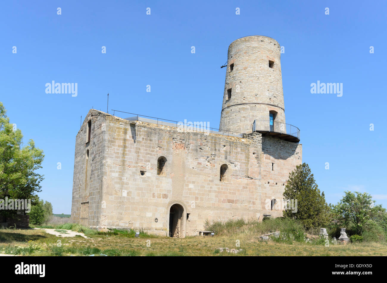 Markgrafneusiedl : church ruin hl. Martin, l'Autriche, Niederösterreich, Autriche, Donau Banque D'Images