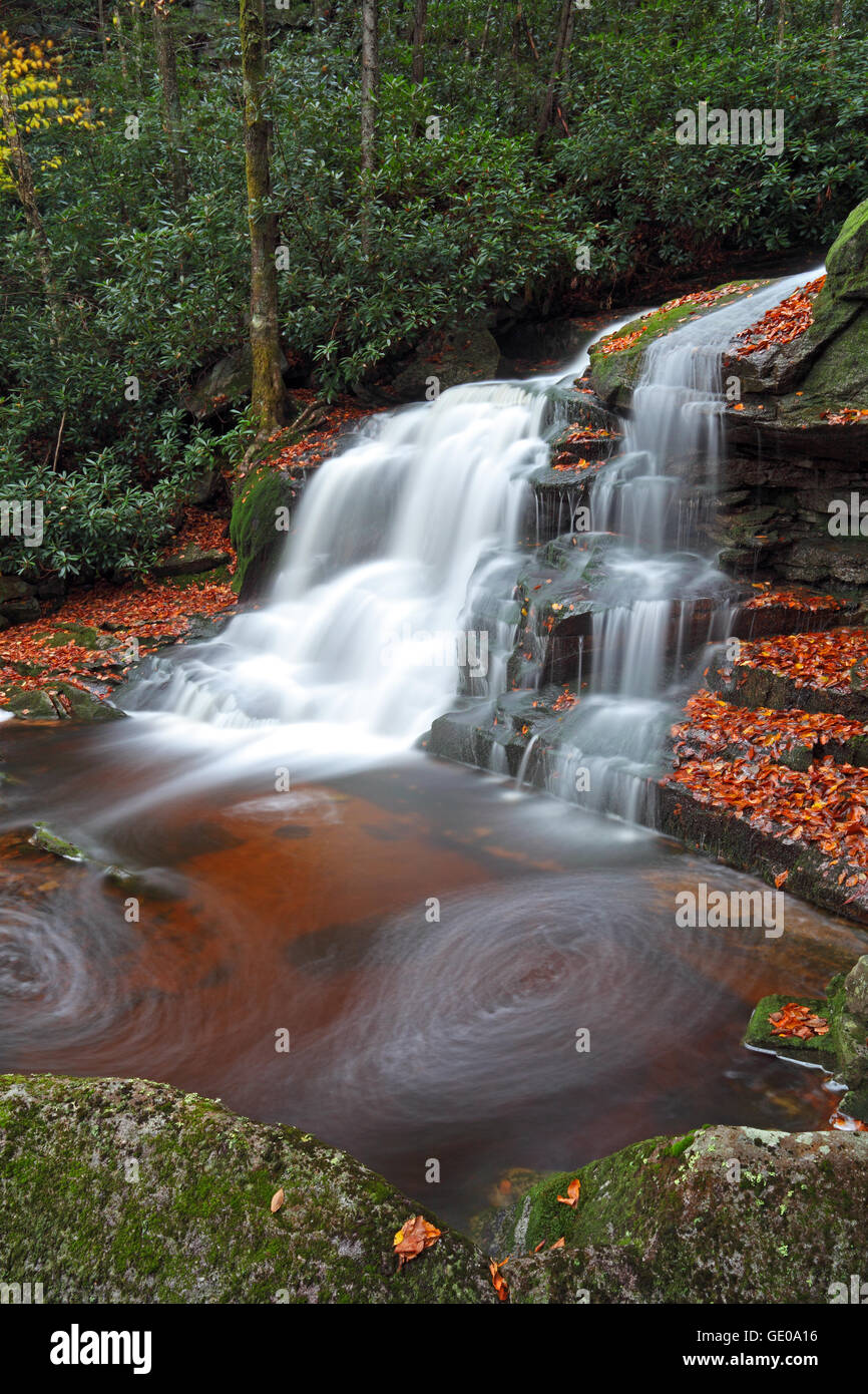 Géographie / voyages, USA, West Virginia, Blackwater Falls State Park, Elakala Additional-Rights Clearance-Info, Chutes--Not-Available Banque D'Images