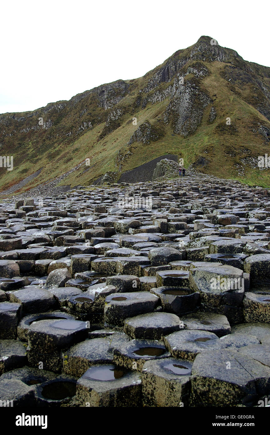 La Chaussée des Géants en Irlande du Nord dans le comté d'Antrim, une attraction touristique et site du patrimoine mondial Banque D'Images