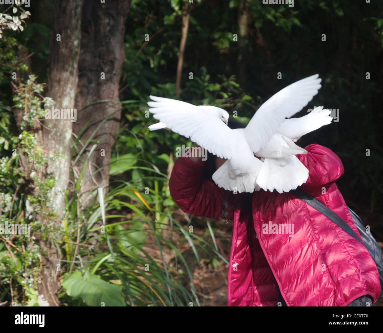 Girl couverts par les oiseaux flocage Banque D'Images