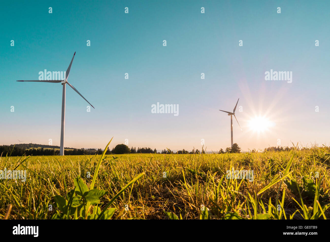 Moulins à vent et écologiques pour la production d'électricité renouvelable Banque D'Images