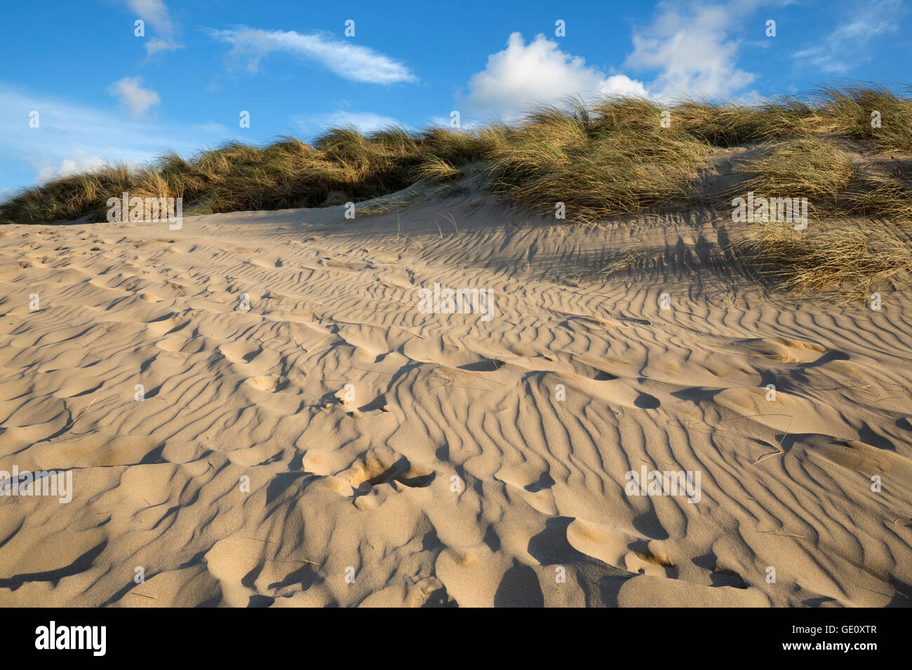 Des empreintes de pas dans le sable et dunes de sable, plage de Crantock, Crantock, près de Newquay, Cornwall, Angleterre, Royaume-Uni, Europe Banque D'Images