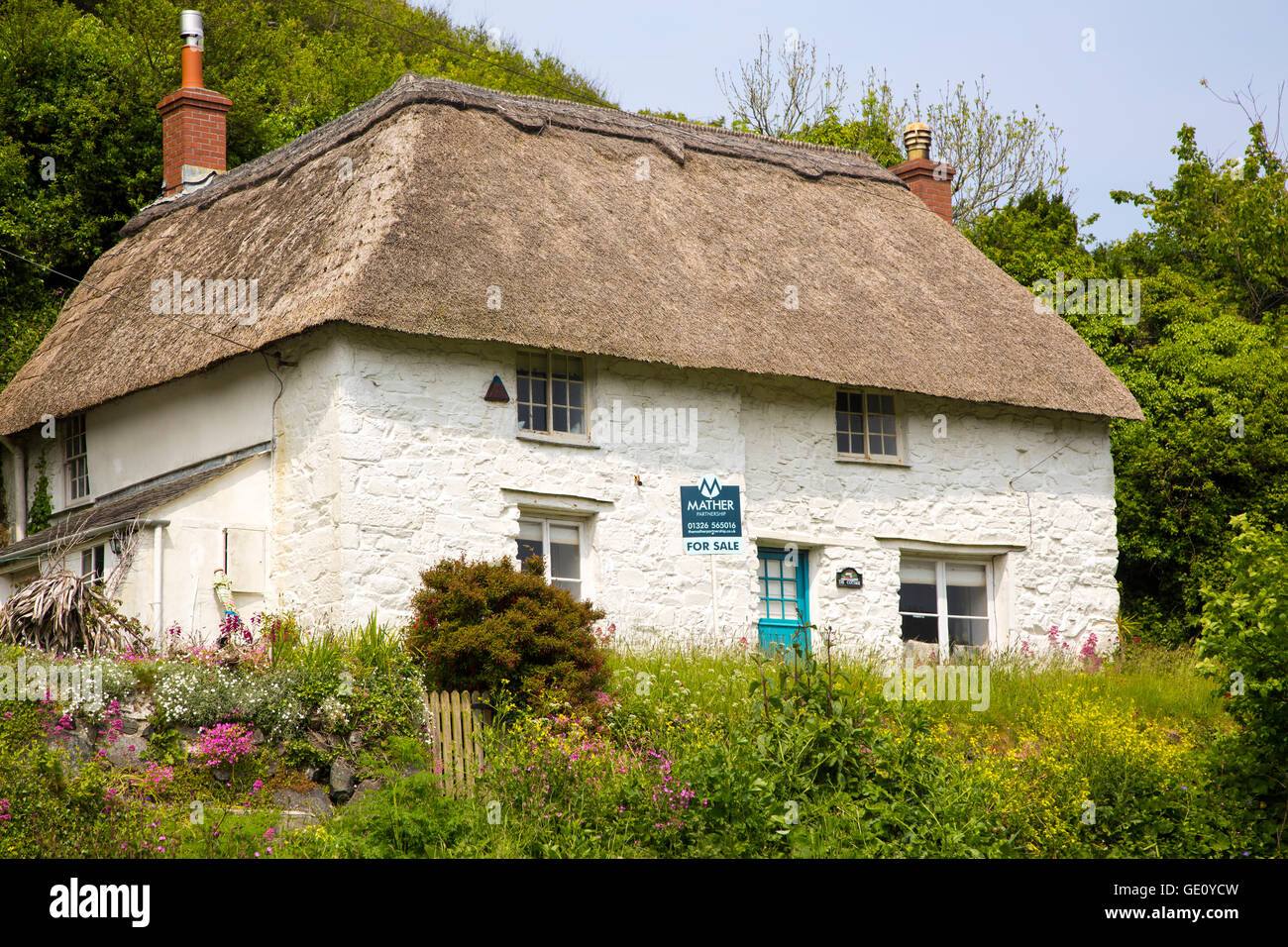 Joli Cottage blanchis à la chaume maison à vendre, Porthoustock, Péninsule du Lézard, Cornwall, England, UK Banque D'Images