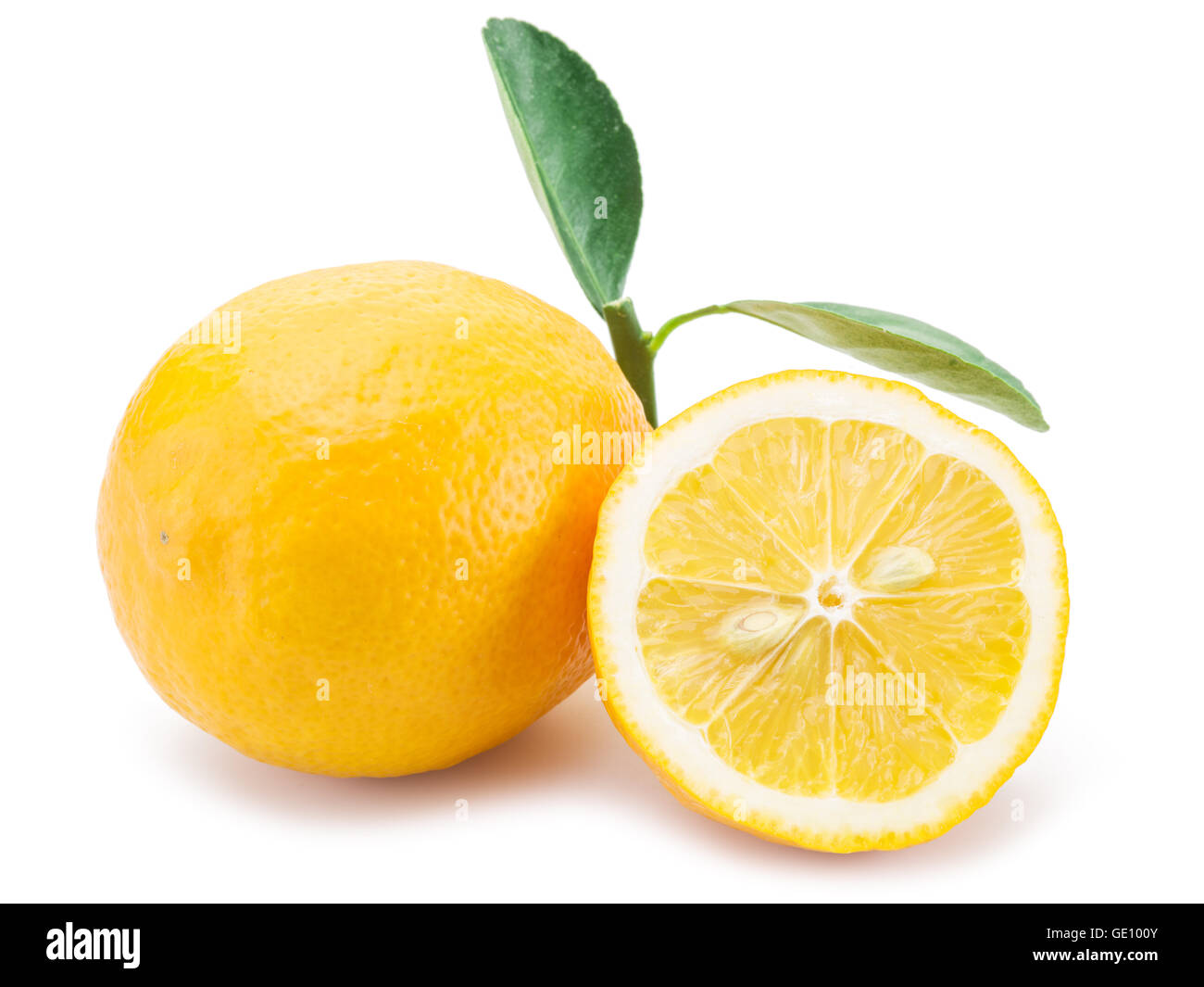 Citron mûrs fruits sur le fond blanc. Banque D'Images