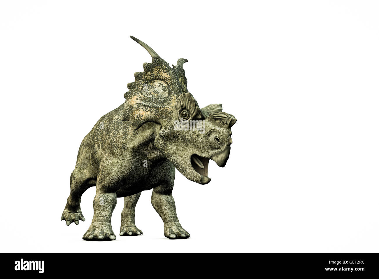 3d illustration de achelousaurus isolé sur fond blanc Banque D'Images