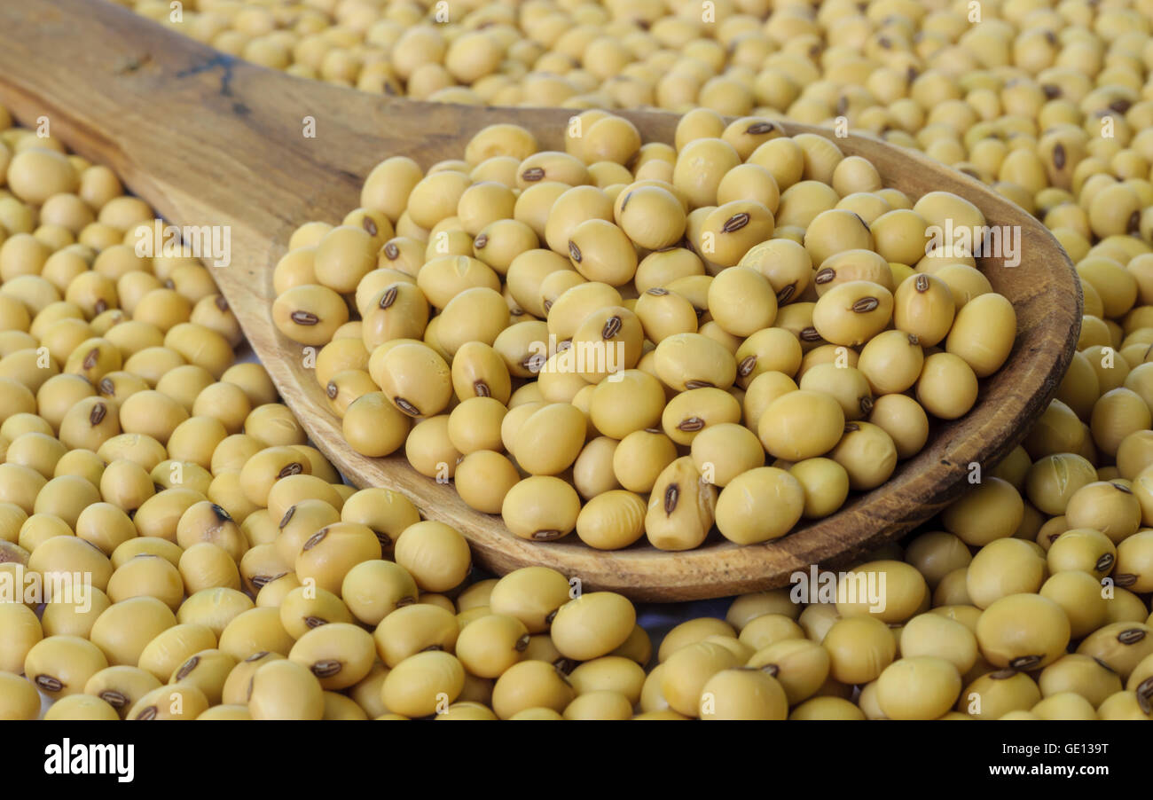 Le soja cuillère en bois isolé sur un fond blanc. Banque D'Images